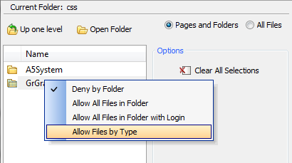 A Folder Permission